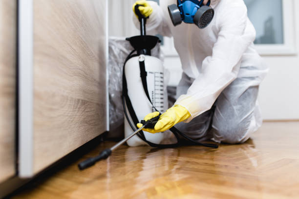 Best Residential Pest Control  in Antioch, IL