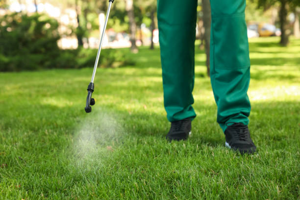Best Bird Control  in Antioch, IL