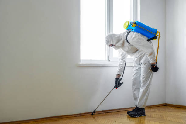 Best Pest Removal Services  in Antioch, IL