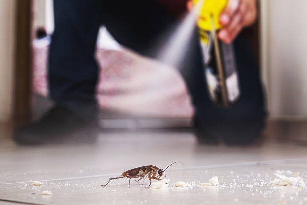 Best Local Pest Control Services  in Antioch, IL