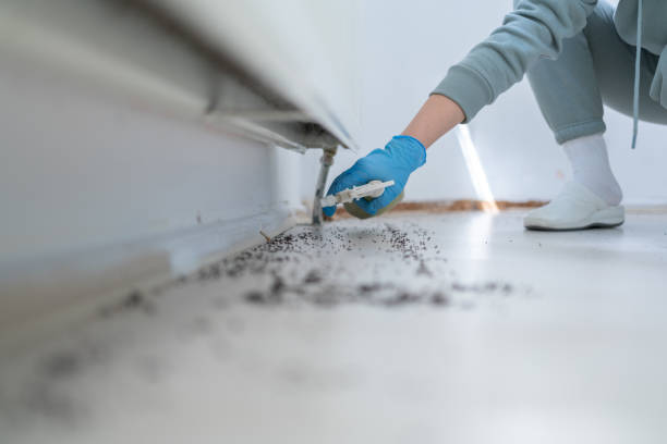 Best Pest Control Near Me  in Antioch, IL