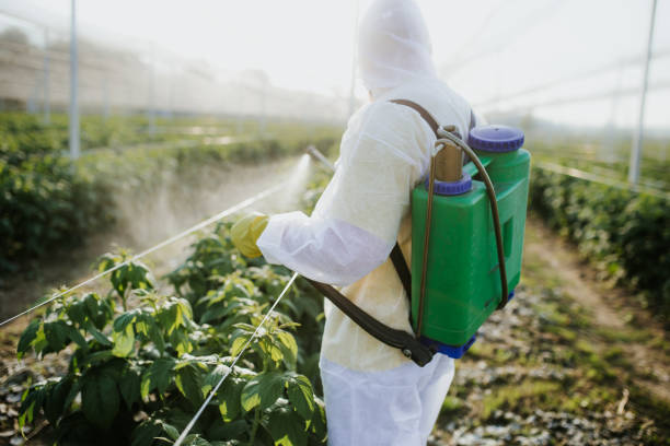 Best Commercial Pest Control Services  in Antioch, IL